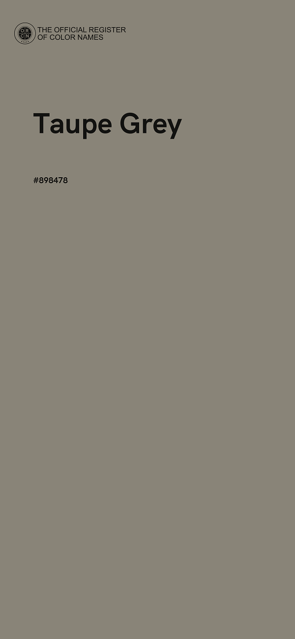 #898478 - Taupe Grey color image
