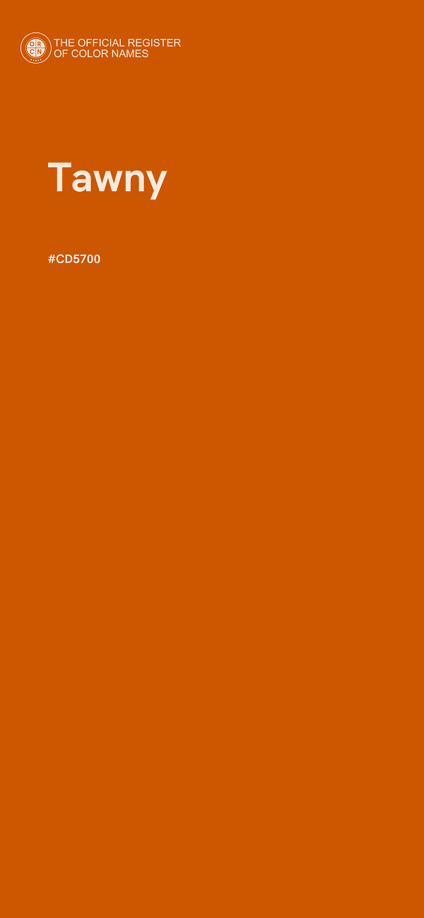 #CD5700 - Tawny color image
