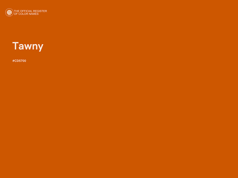 #CD5700 - Tawny color image