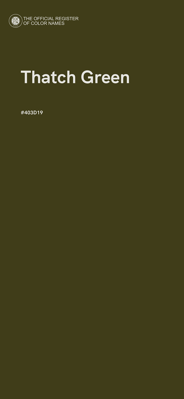 #403D19 - Thatch Green color image