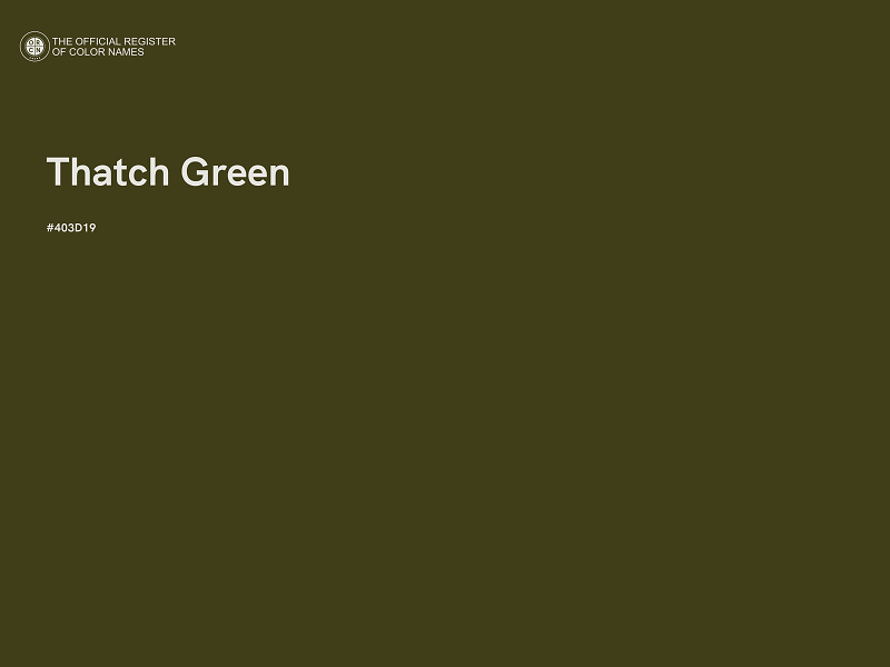 #403D19 - Thatch Green color image