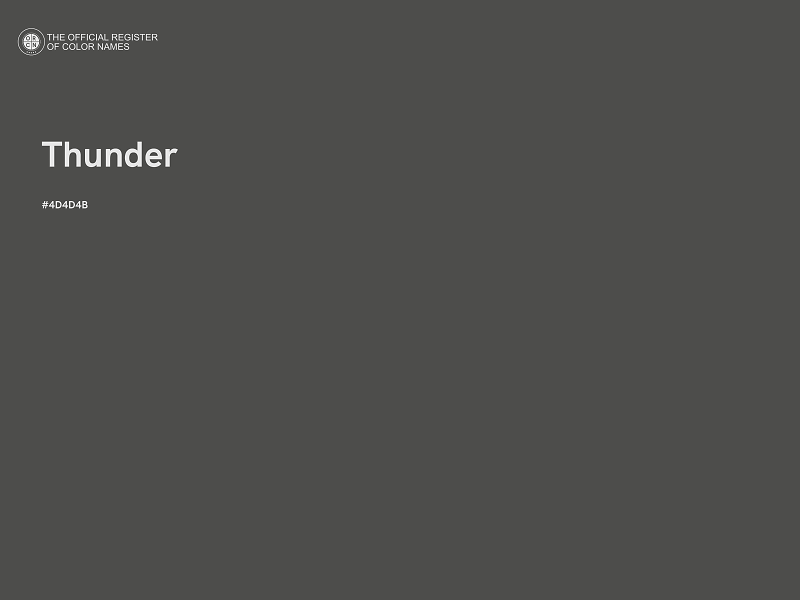 #4D4D4B - Thunder color image