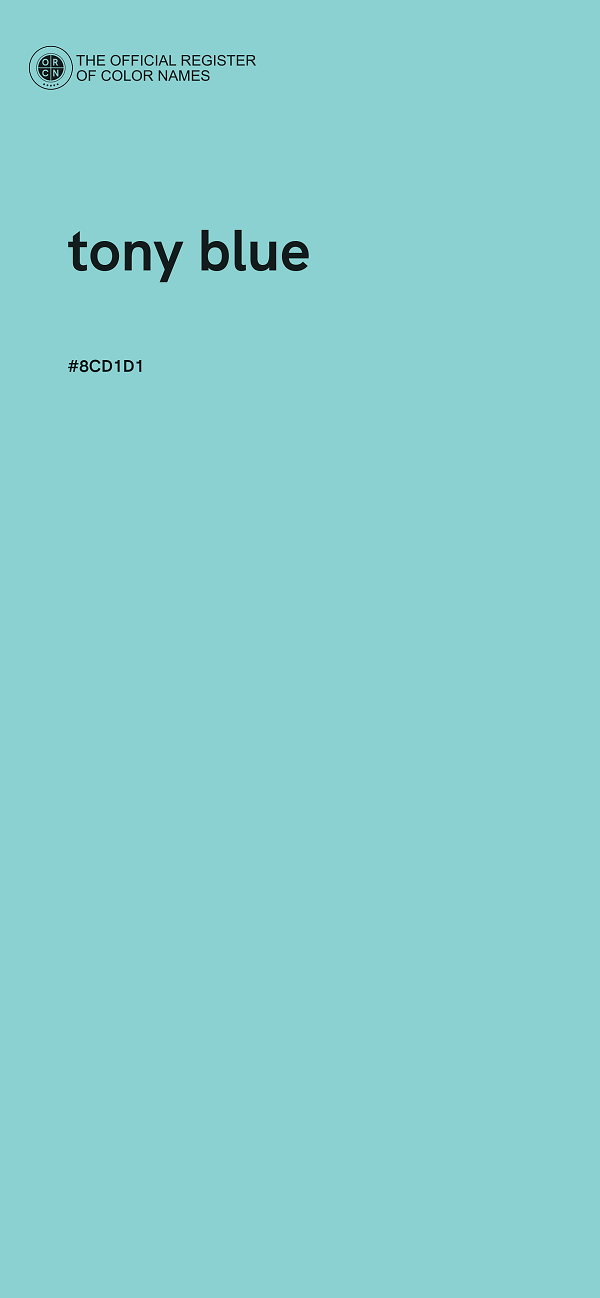 #8CD1D1 - tony blue color image
