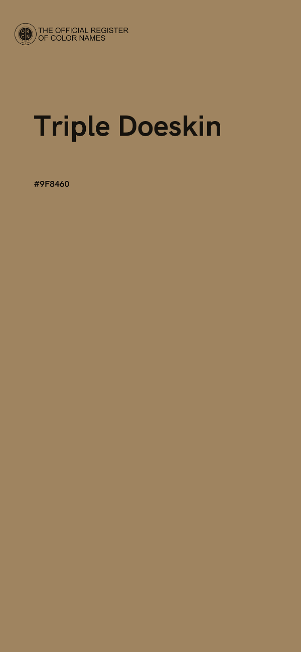 #9F8460 - Triple Doeskin color image