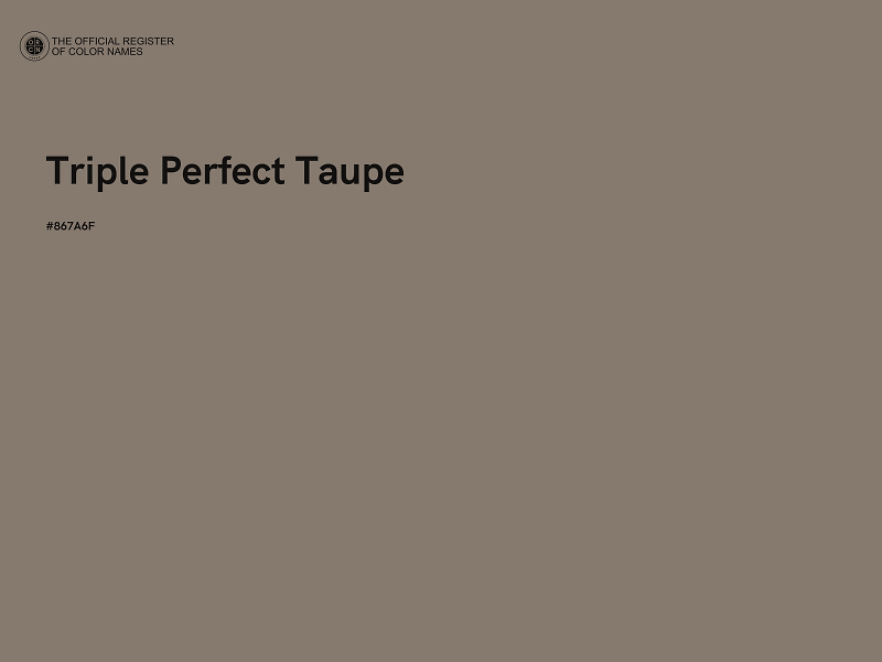 #867A6F - Triple Perfect Taupe color image