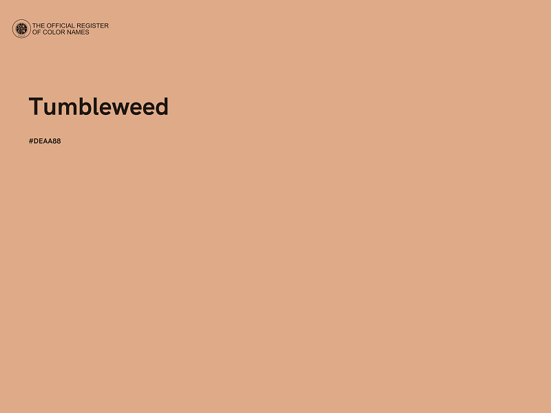 #DEAA88 - Tumbleweed color image
