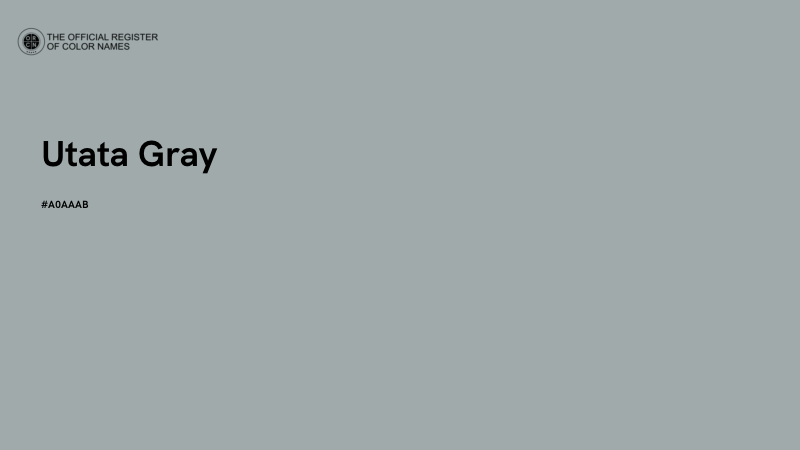 #A0AAAB - Utata Gray color image