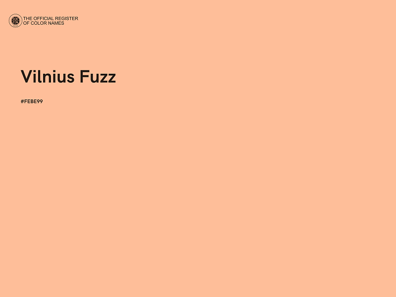 #FEBE99 - Vilnius Fuzz color image