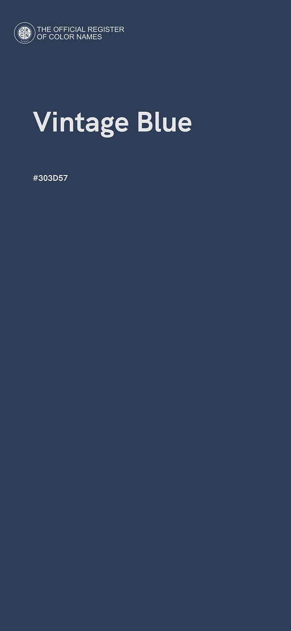 #303D57 - Vintage Blue color image