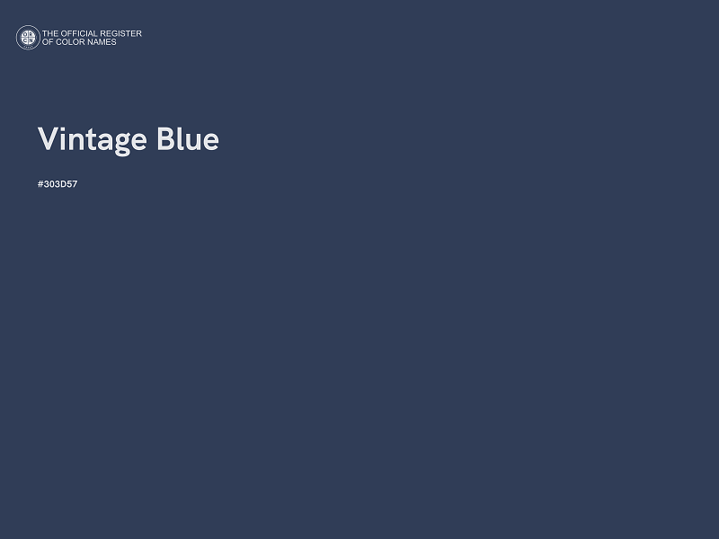#303D57 - Vintage Blue color image