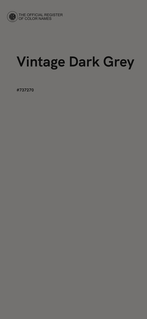 #737270 - Vintage Dark Grey color image