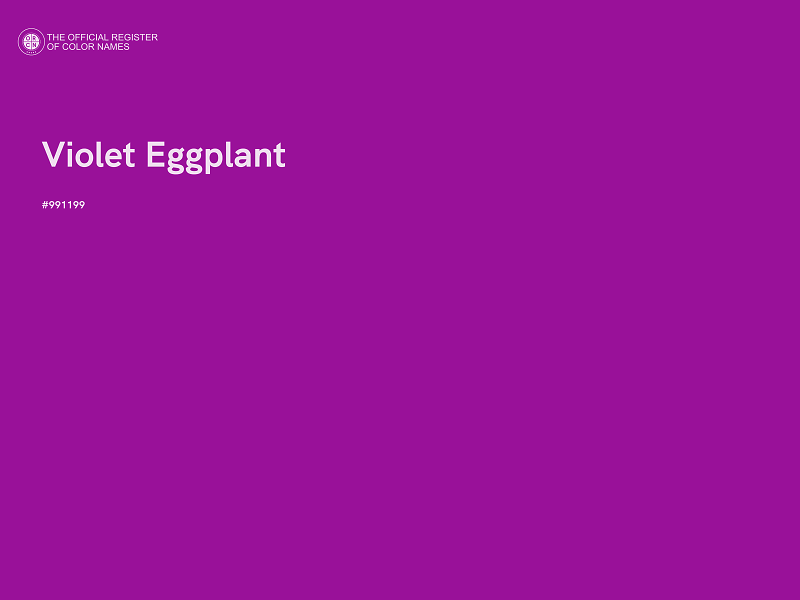 #991199 - Violet Eggplant color image