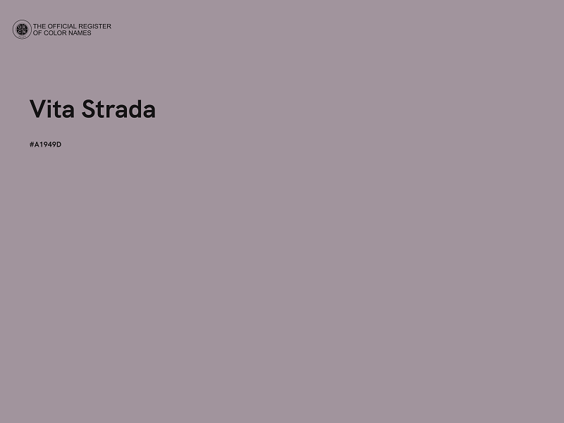 #A1949D - Vita Strada color image