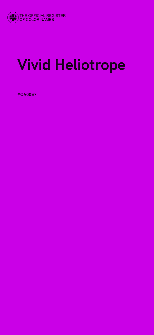 #CA00E7 - Vivid Heliotrope color image