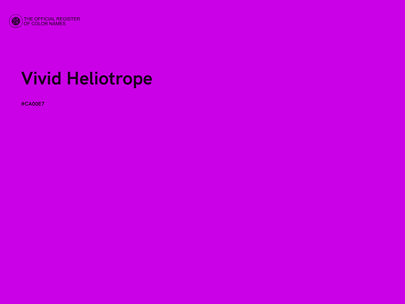 #CA00E7 - Vivid Heliotrope color image