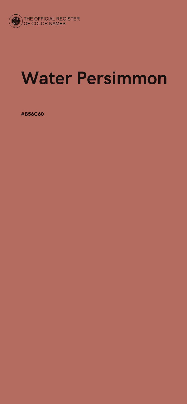 #B56C60 - Water Persimmon color image