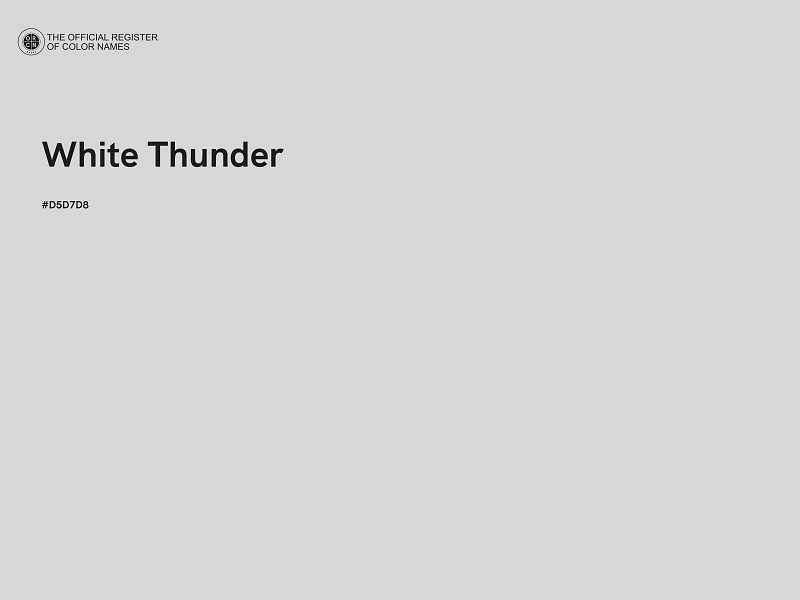 #D5D7D8 - White Thunder color image