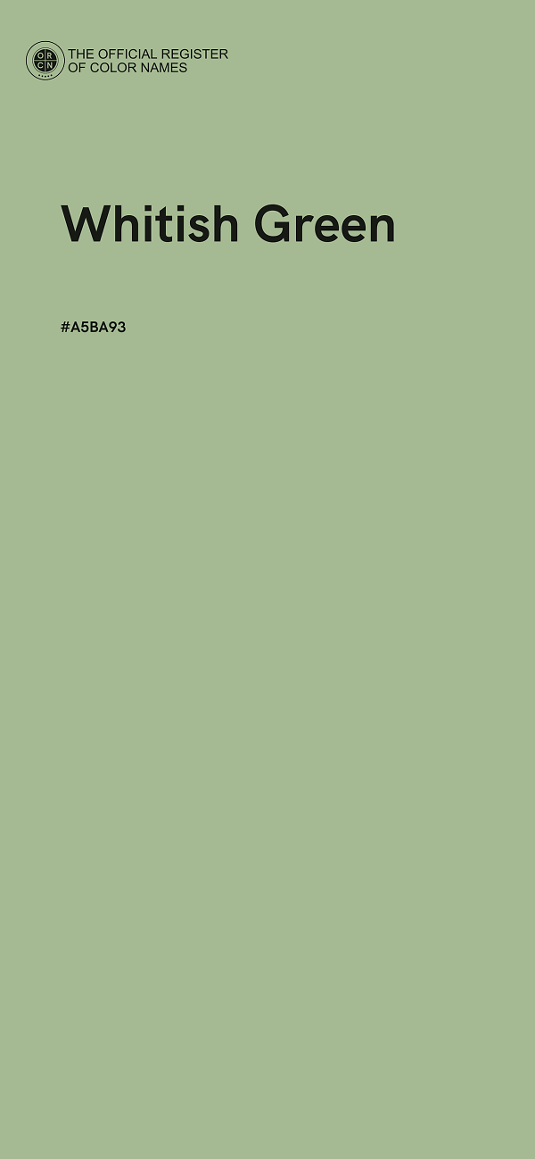 #A5BA93 - Whitish Green color image