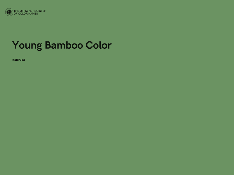 #6B9362 - Young Bamboo Color color image